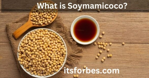 soymamicoco